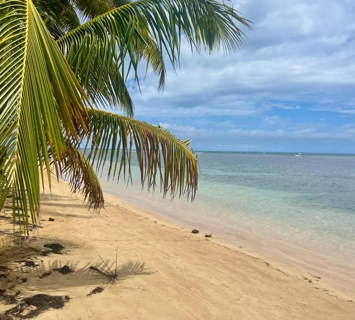 Oceanview Apartment Steps To The Beach Luquillo Porto Riko
