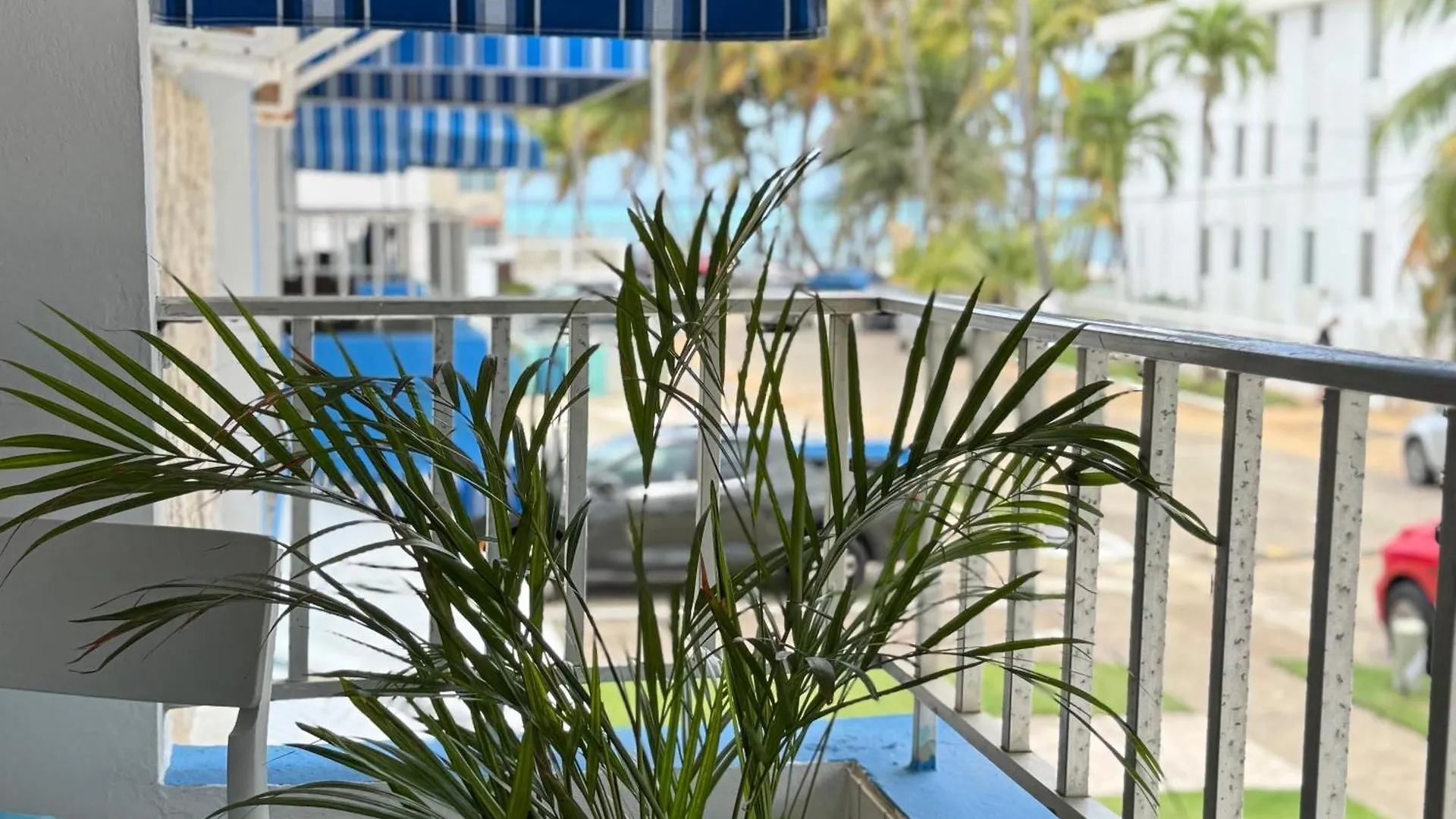 Oceanview Apartment Steps To The Beach 루키요